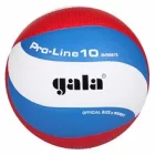 Volei