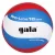 Volei