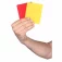 Arbitru fotbal