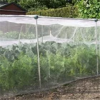 Plase protectie importiva daunatorilor