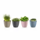 Ghivece si cutii pentru plante