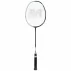Astroid 77 racheta de badminton