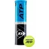 ATP mingi de tenis