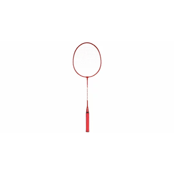 Badminton Rebounder trainer
