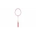 Badminton Rebounder trainer