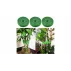 Banda pentru plante Tape 200, set 3 bucati
