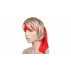 Banderola sport Extra Dry rosu