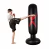 BC160 Antrenor de box