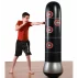 BC160 Antrenor de box cu tinte