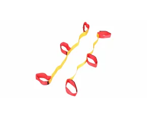 Bigfoot joc de echipa