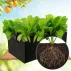 Box Grow Bag 50 ghiveci flori