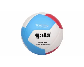 BV5565S Training 12 volleyball ball
