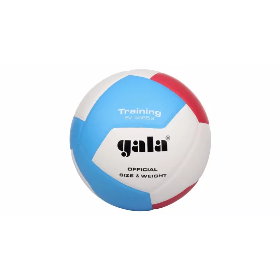 BV5565S Training 12 volleyball ball