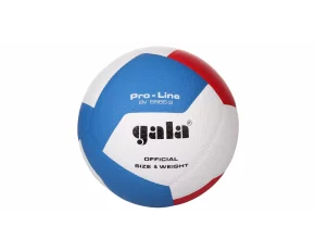 BV5585S Pro-Line volleyball ball