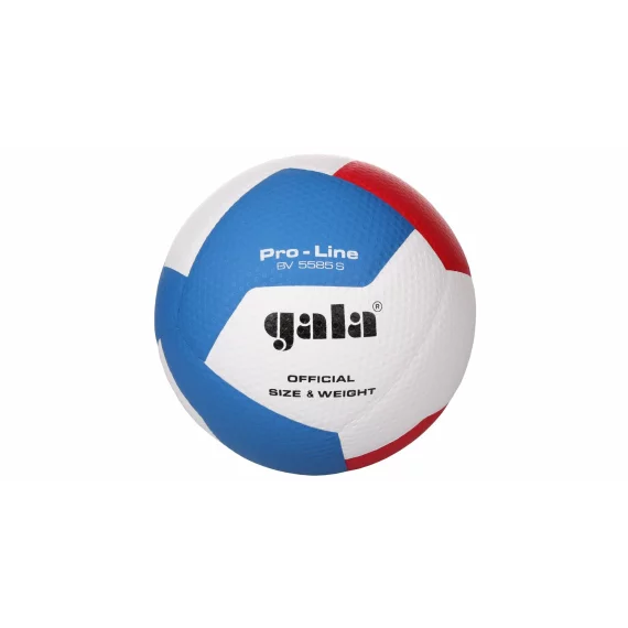 BV5585S Pro-Line volleyball ball