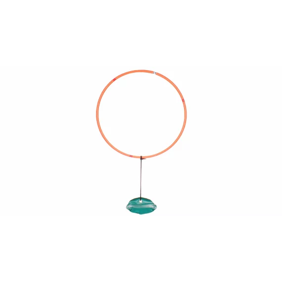 Cerc cu greutate pentru scufundari Weighted Hoop