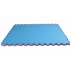 Champion tatami