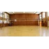 Club fileu volei