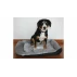 Comfy dog bed black
