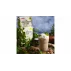 Delicious Vegan Protein proteine vegane 30 g