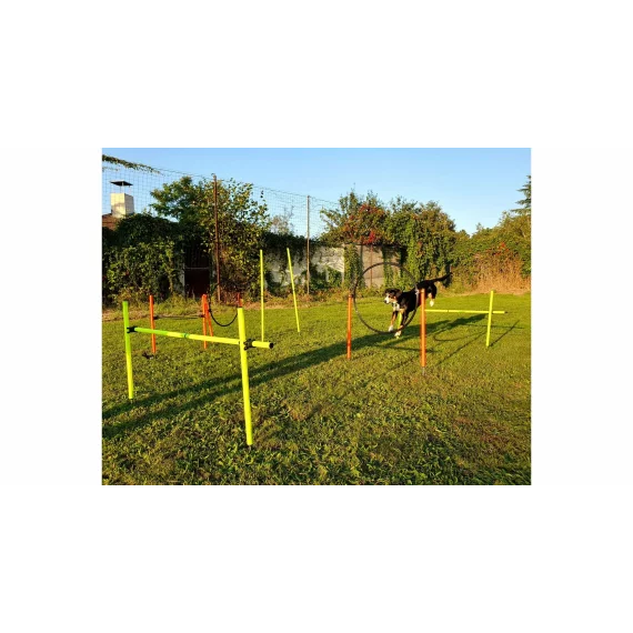 Dog Multi obstacole de agilitate pentru caini
