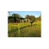 Dog Multi obstacole de agilitate pentru caini
