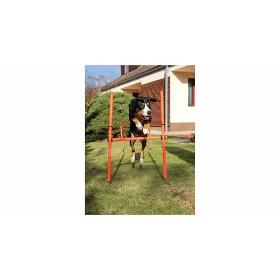 Dog Trainer obstacol agilitate pentru caini