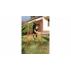 Dog Trainer obstacol agilitate pentru caini