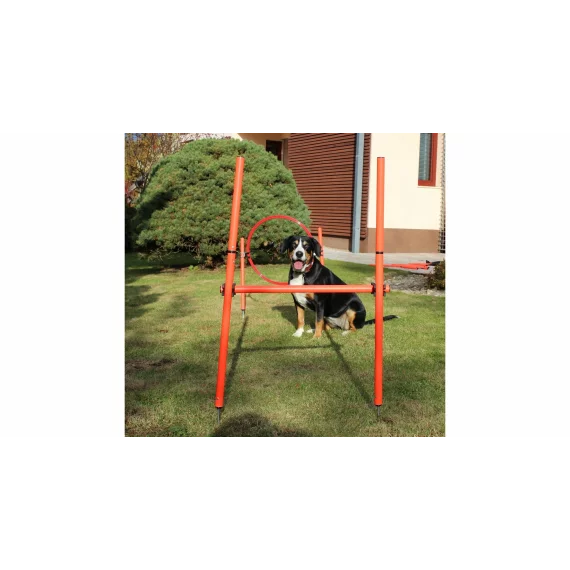 Dog Trainer obstacol agilitate pentru caini