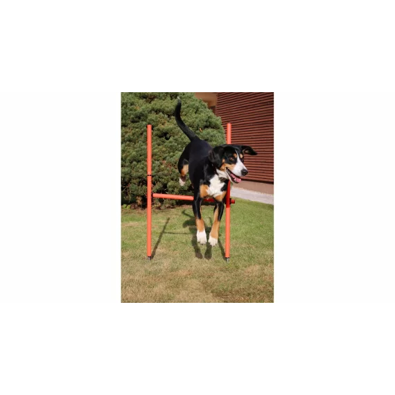 Dog Trainer obstacol agilitate pentru caini