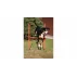 Dog Trainer obstacol agilitate pentru caini