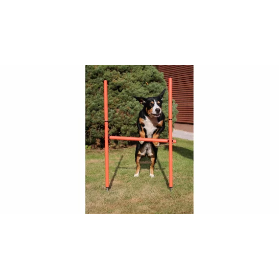 Dog Trainer obstacol agilitate pentru caini