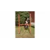 Dog Trainer obstacol agilitate pentru caini