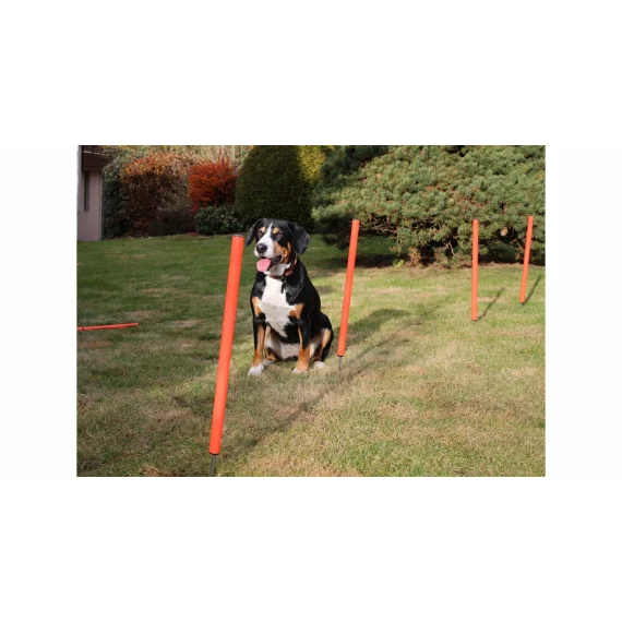 Dog Trainer obstacol agilitate pentru caini
