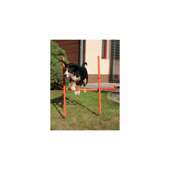 Dog Trainer obstacol agilitate pentru caini