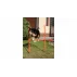 Dog Trainer obstacol agilitate pentru caini