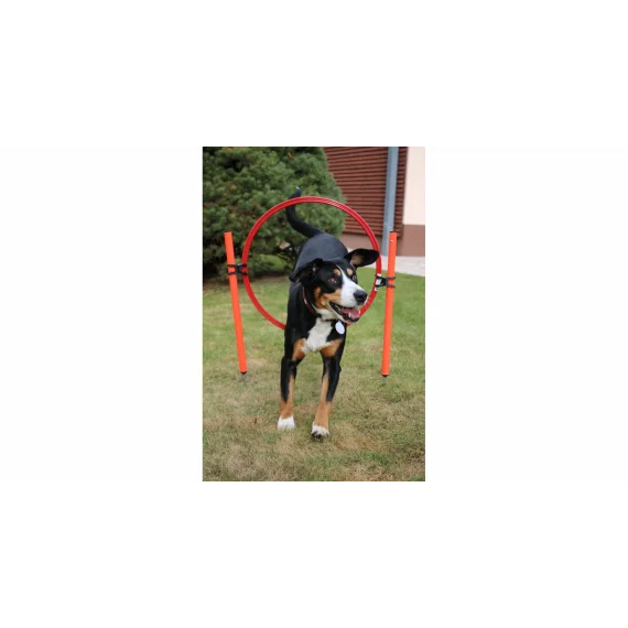 Dog Trainer obstacol agilitate pentru caini