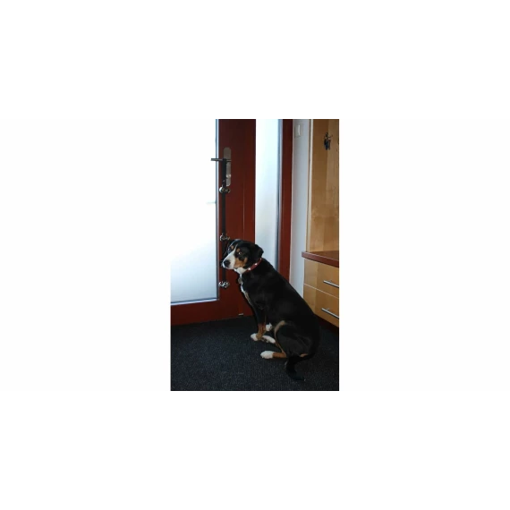 Dogbell funie cu sonerie pentru animale de companie, negru