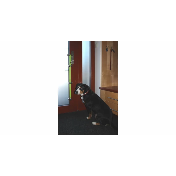 Dogbell funie cu sonerie pentru animale de companie, verde