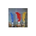Dolphin Set jucarie pentru scufundari
