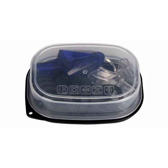 Dolphin whistle blue