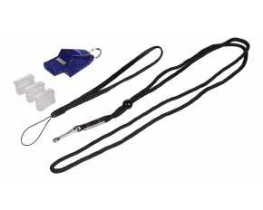 Dolphin whistle blue