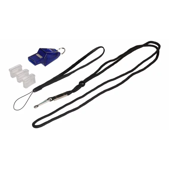Dolphin whistle blue