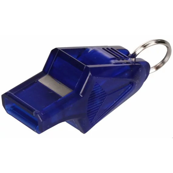 Dolphin whistle blue