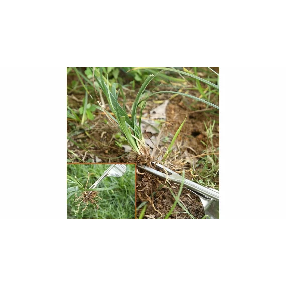 Drafter weed puller