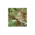 Drafter weed puller