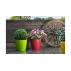Ella Mat decorative flower pot magenta