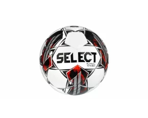 FB Futsal Samba minge de futsal, alb-argintiu