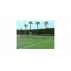 Fileu tenis de camp, Deluxe TN50