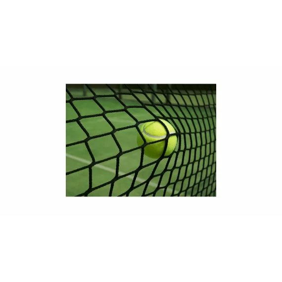Fileu tenis de camp, Deluxe TN50